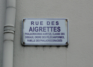 Valence a été une grande réserve ornithologique